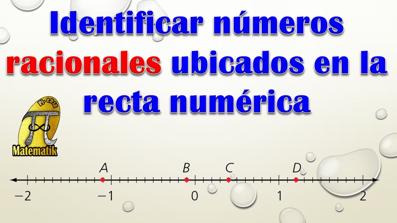 ¿Cuál es el término para los números representados por fracciones?