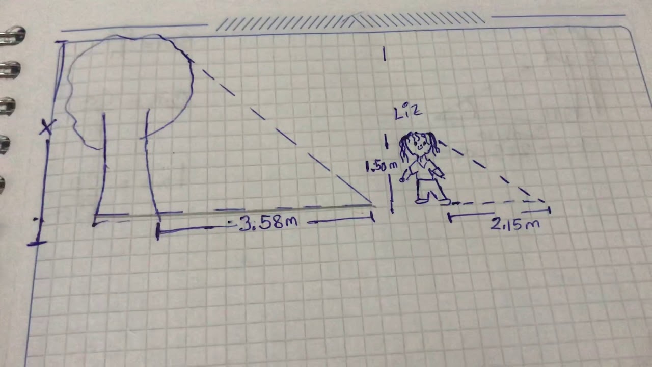 Cálculo de la altura de una pirámide mediante la proyección de sombras por un matemático