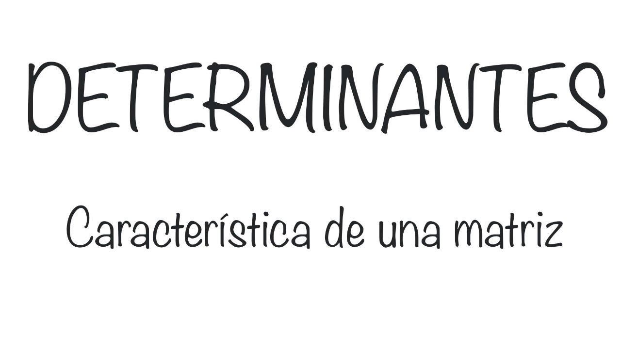 Características fundamentales de los determinantes de una matriz