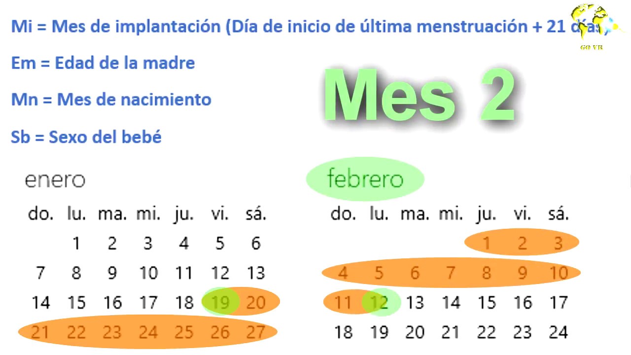 Cómo determinar el género del bebé mediante una fórmula matemática