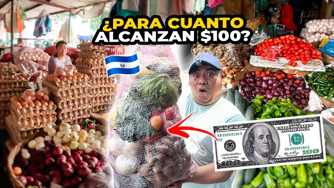 Promoción: ¿Cuántos borradores se pueden comprar con $100?