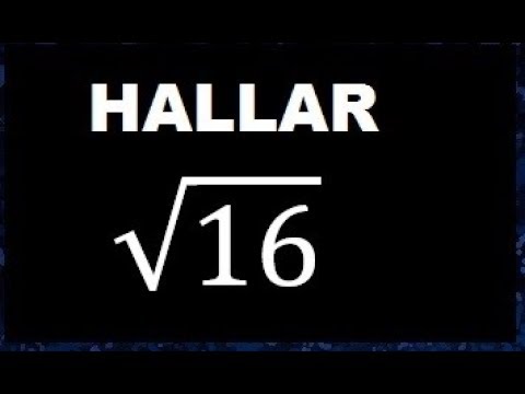 Calcula la raíz cuadrada de 16
