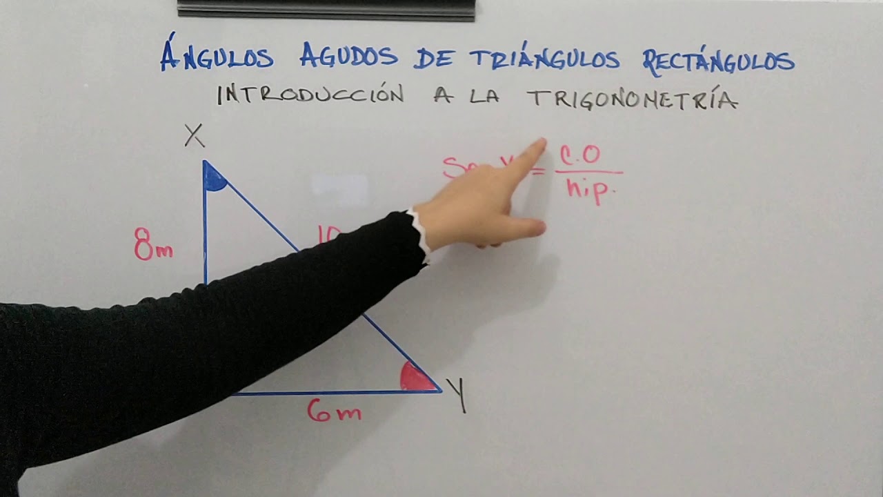 Cálculo de la suma de los ángulos agudos en un triángulo rectángulo