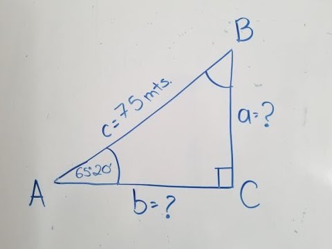 Triángulo rectángulo con ángulo b=60 y c=90